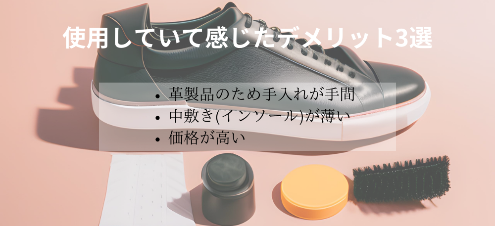 Expensive black leather sneakers with thin insole and cleaning accessories
